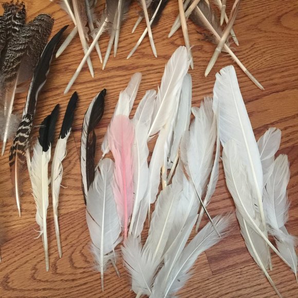 LOT 140 NATURAL PEACOCK BIRD FEATHER BOHO FESTIVAL CRAFT ART HOBBY COSTUME DECOR - Picture 16 of 16